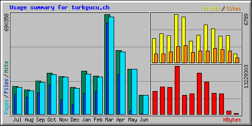 Usage summary for turkgucu.ch